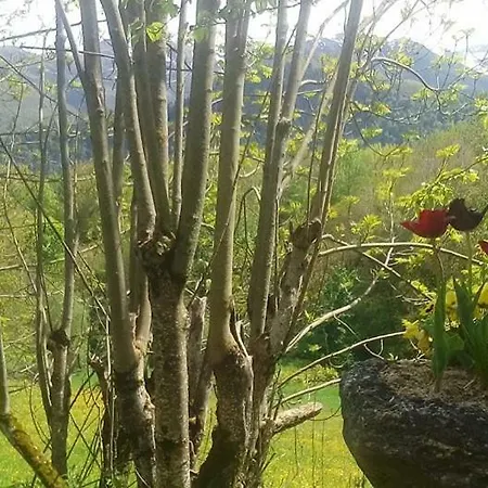 Le Chant De L'eau Dom wakacyjny Garin